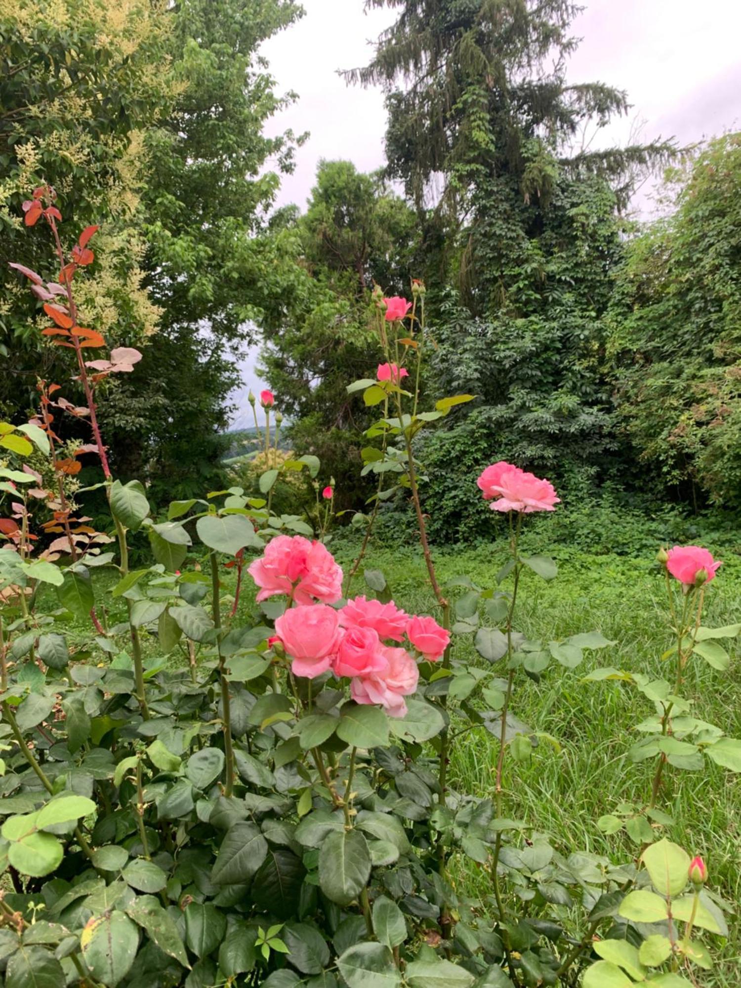 La Poesie Bed and Breakfast Lagor Εξωτερικό φωτογραφία