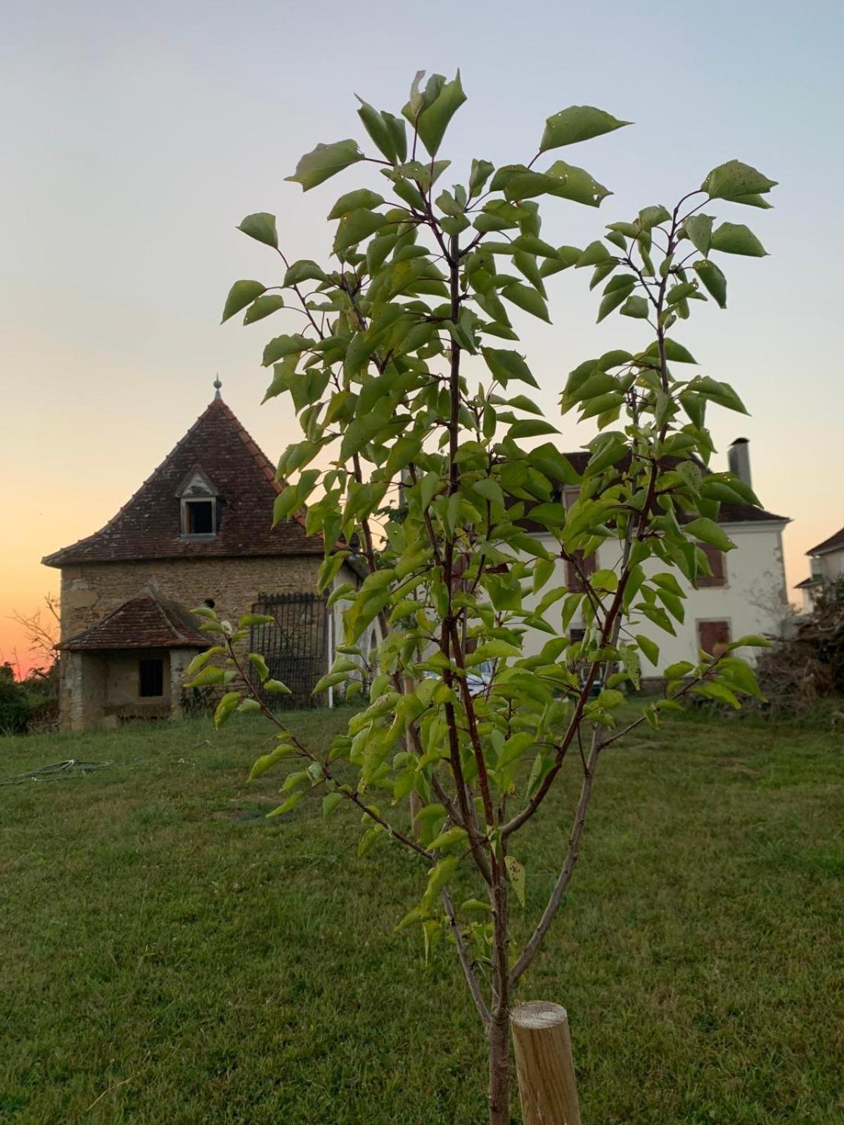 La Poesie Bed and Breakfast Lagor Εξωτερικό φωτογραφία